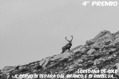 004-6loredanadesole3